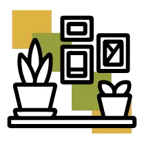Lucky Bamboo - Decoración