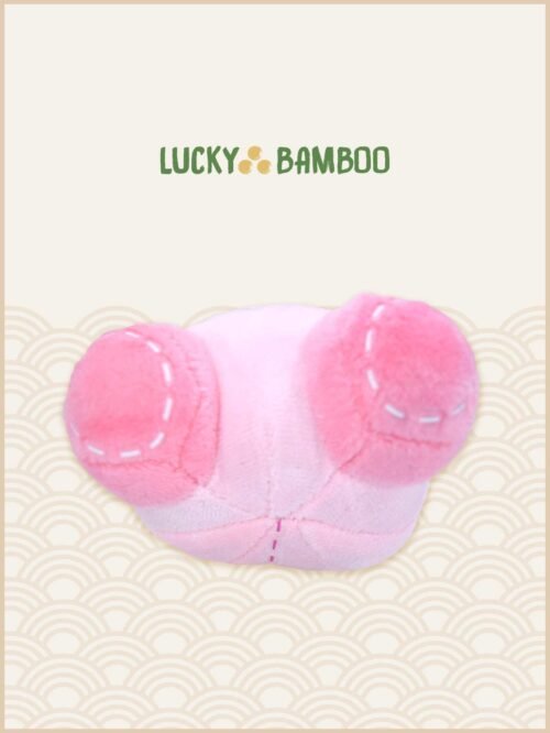 Lucky Bamboo, Nintendo, Kirby