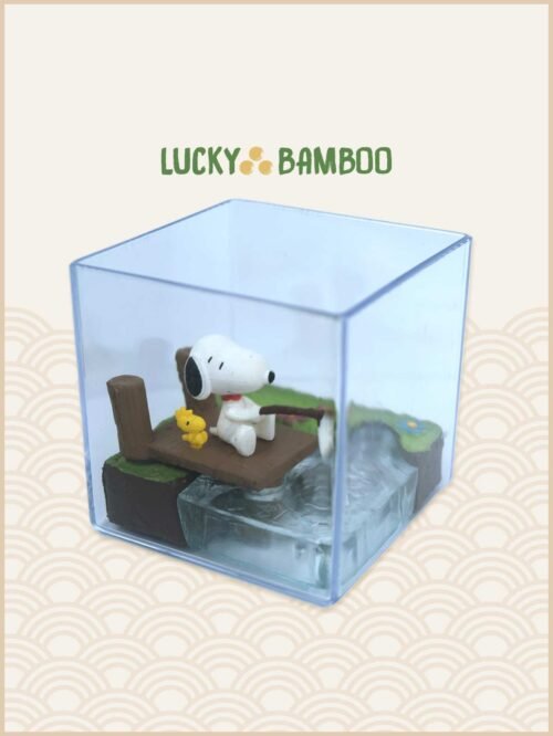 Lucky Bamboo, Peanuts, Snoopy