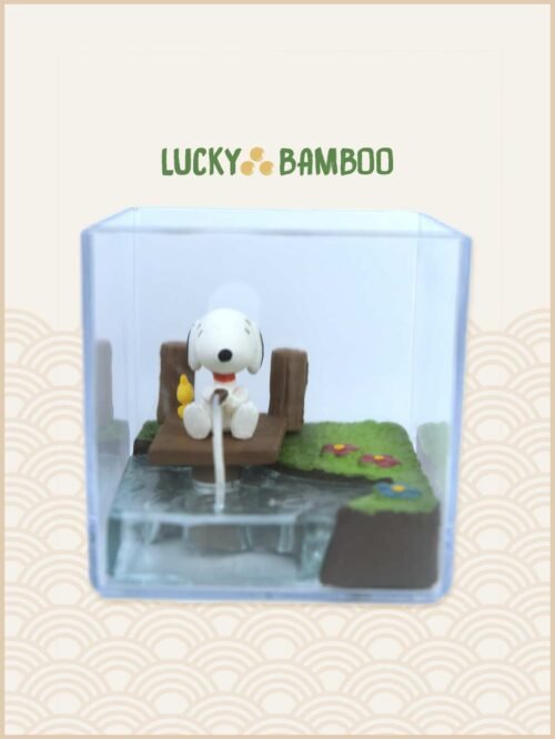 Lucky Bamboo, Peanuts, Snoopy