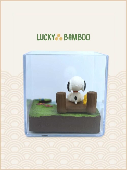 Lucky Bamboo, Peanuts, Snoopy