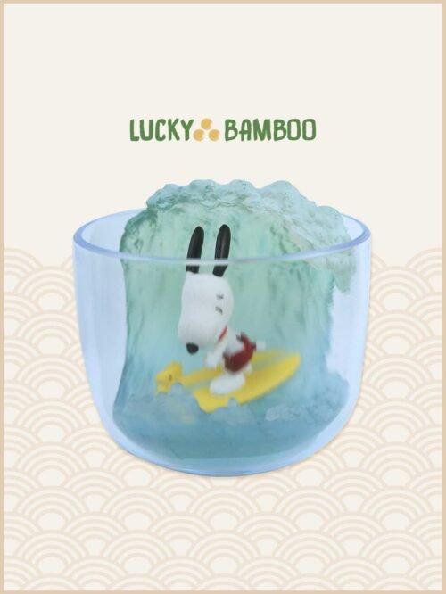 Lucky Bamboo, Peanuts, Snoopy