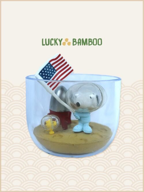 Lucky Bamboo, Peanuts, Snoopy