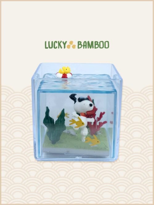 Lucky Bamboo, Peanuts, Snoopy