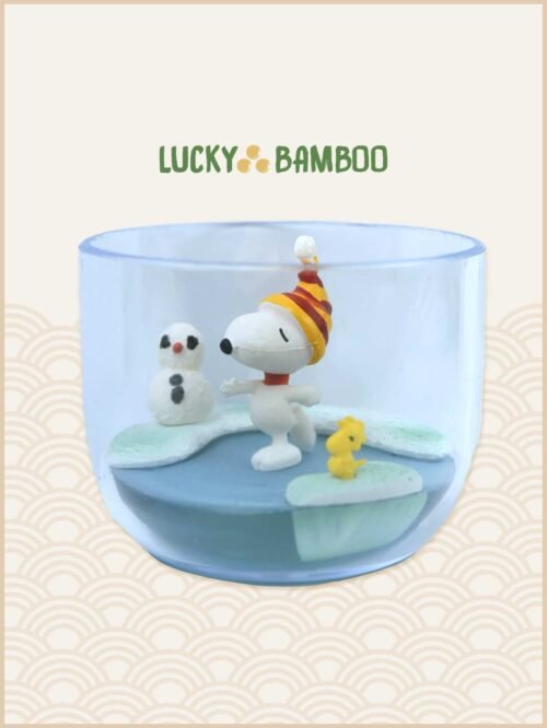 Lucky Bamboo, Peanuts, Snoopy