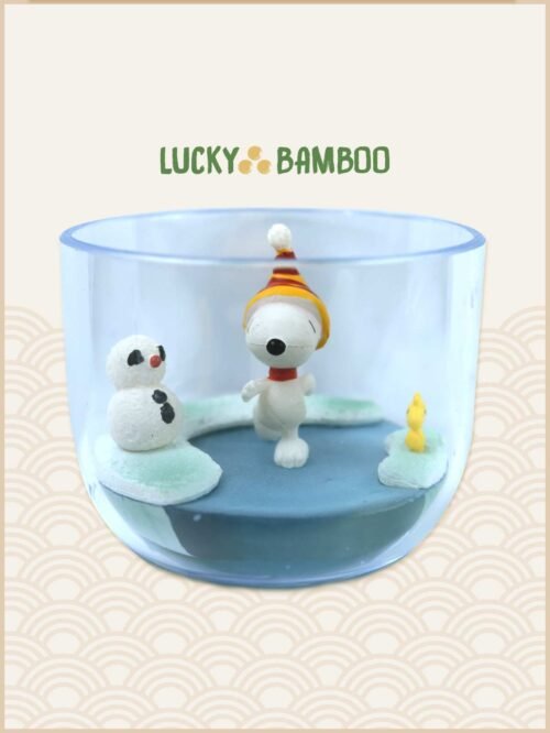 Lucky Bamboo, Peanuts, Snoopy