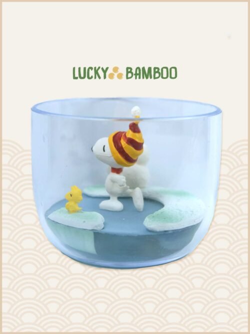 Lucky Bamboo, Peanuts, Snoopy