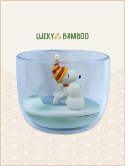 Lucky Bamboo, Peanuts, Snoopy