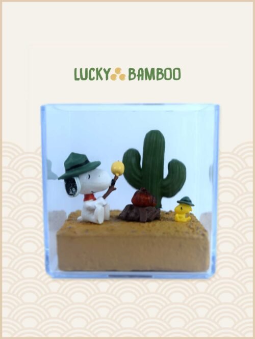 Lucky Bamboo, Peanuts, Snoopy