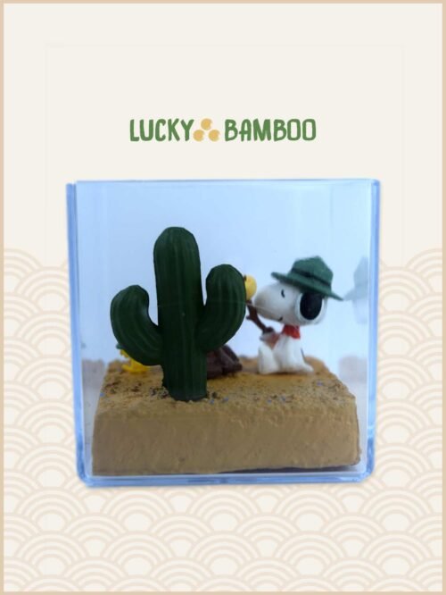 Lucky Bamboo, Peanuts, Snoopy