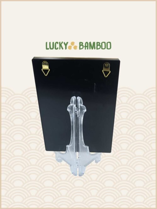 Lucky Bamboo, One Piece