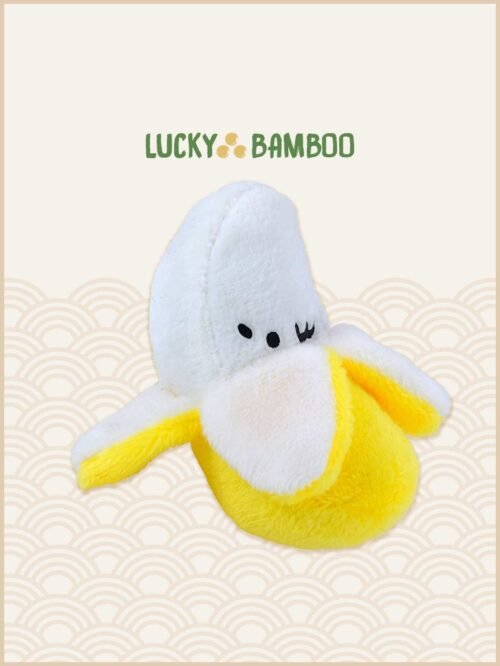 Lucky Bamboo, Kawaii Finds